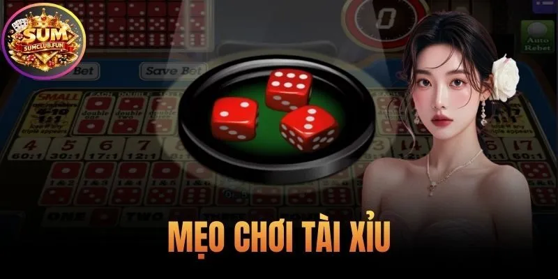 Mẹo Chơi Tài Xỉu